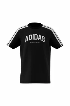 T-shirt J C Colleg Tee Børn Toppe & T-Shirts