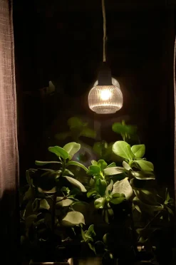 Aneta Lighting Pendel ELIN^ Pendler