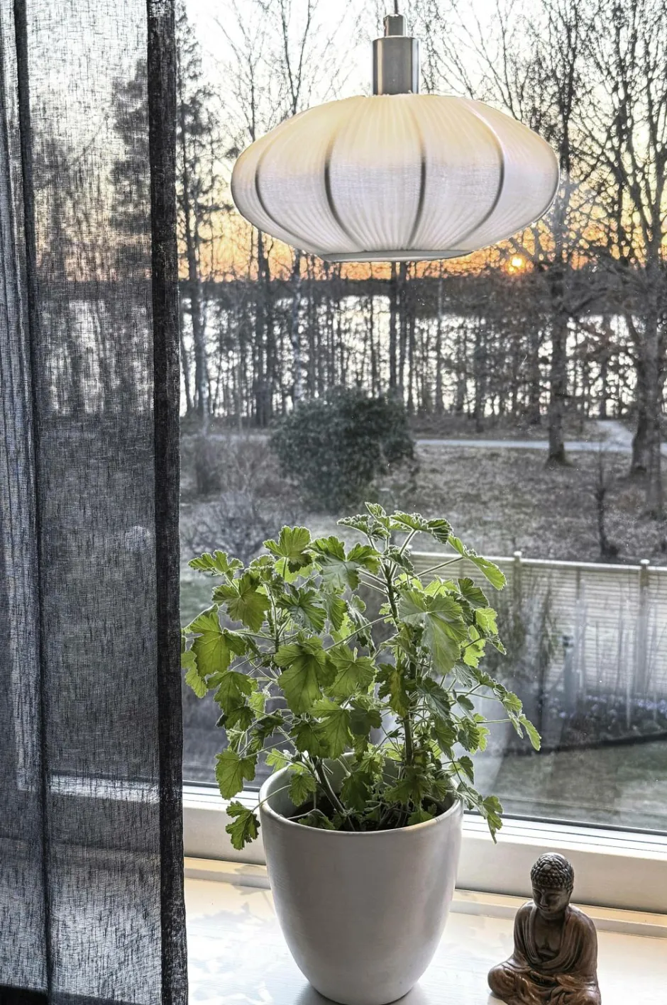 Aneta Lighting Vindueslampe Mamsell^ Pendler