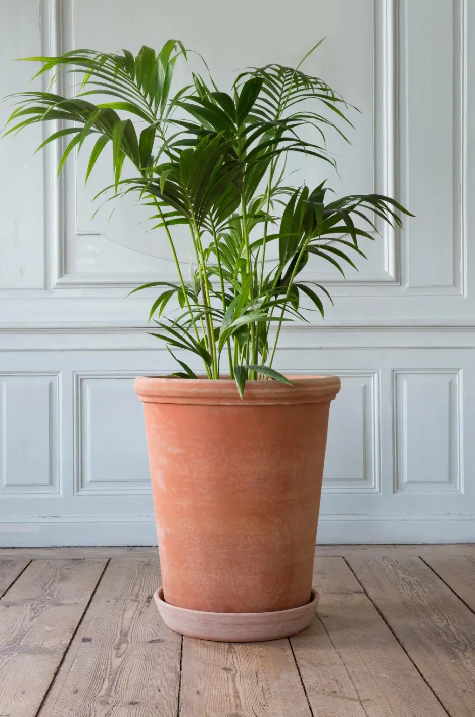 Bergs Potter FLORA, Ø 60 cm, H 68 cm, Potte høj^ Planter & Blomster