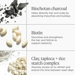 Briogeo Scalp REVIVAL™ Charcoal + Biotin Dry Shampoo 50G^ Hår|Hår