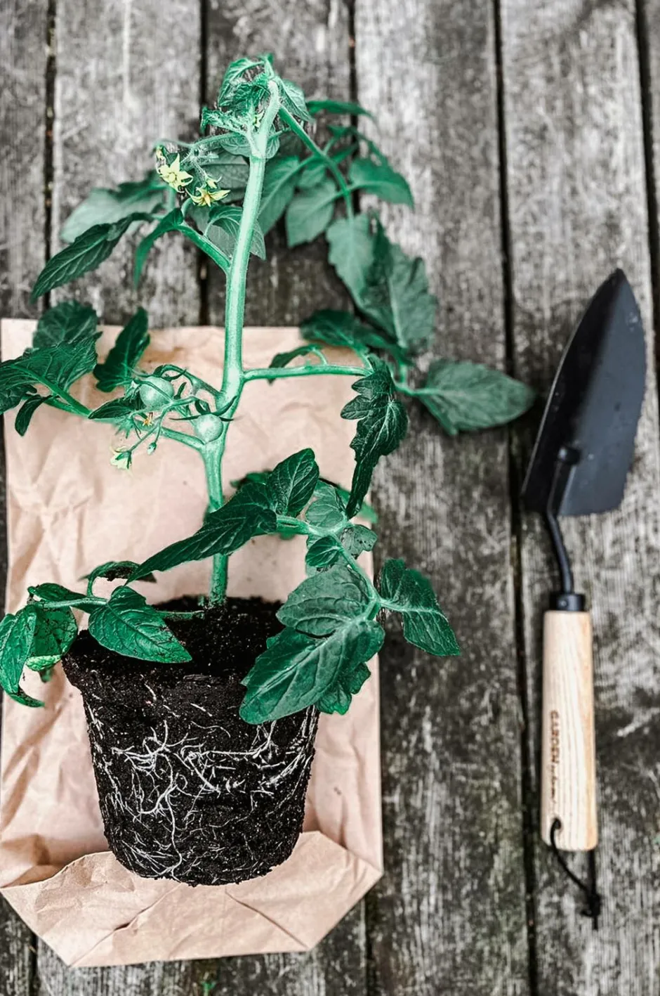 by Benson Plantespade^ Planter & Blomster