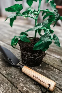 by Benson Plantespade^ Planter & Blomster