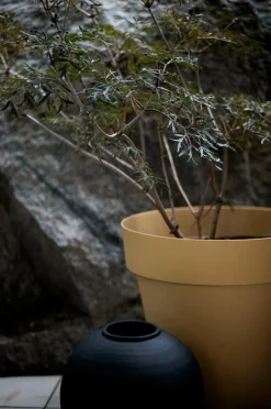Byon Krukke Bee^ Potteskjulere