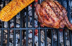 Best Hybrid-grill Gas2Coal 2.0 Udemøbler & Have