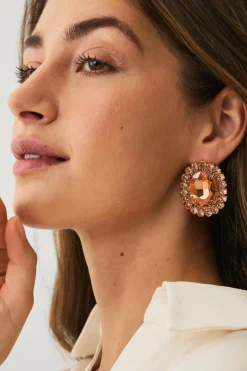 Hot Collection Ørestikker med rhinstene Dame Smykker