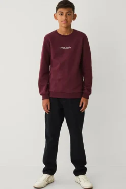 Sale Collection Sweatshirt Børn Sweatshirts & Hoodies