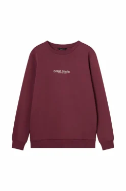 Sale Collection Sweatshirt Børn Sweatshirts & Hoodies