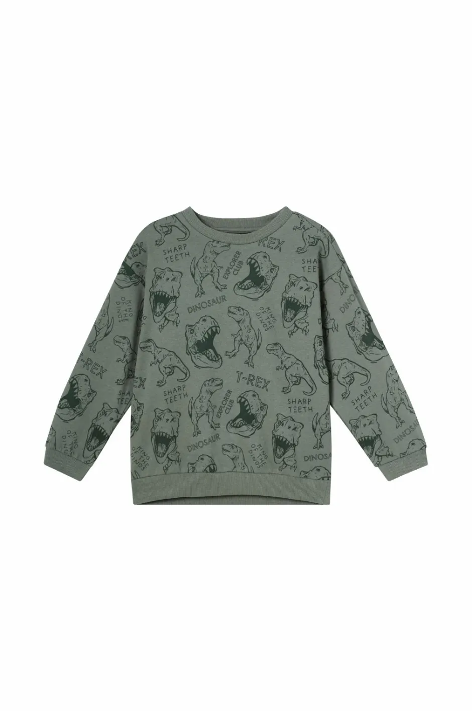 New Collection Sweatshirt med tryk Børn Sweatshirts & Hoodies