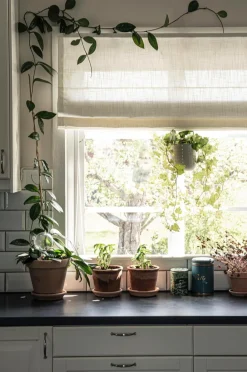 Hasta Liftgardin Lina^ Julegardiner|Foldegardiner