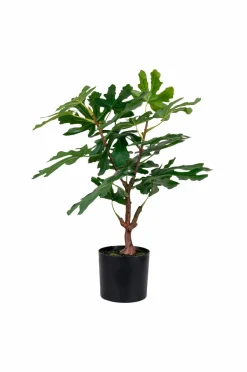 House Nordic Figentræ^ Planter & Blomster