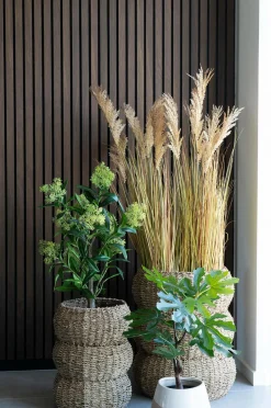 House Nordic Figentræ^ Planter & Blomster