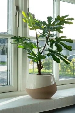 House Nordic Figentræ^ Planter & Blomster