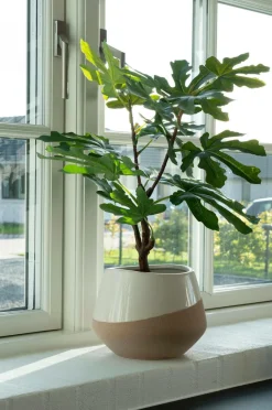 House Nordic Figentræ^ Planter & Blomster
