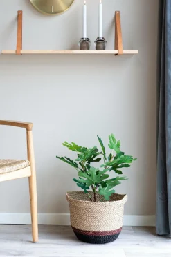 House Nordic Figentræ^ Planter & Blomster