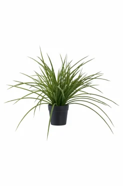 House Nordic Græs^ Planter & Blomster