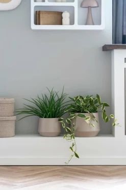 House Nordic Græs^ Planter & Blomster