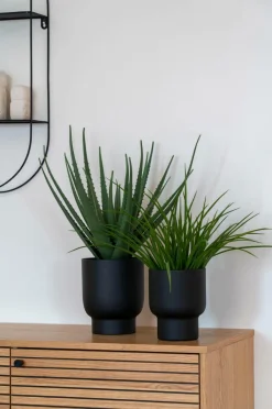 House Nordic Græs^ Planter & Blomster