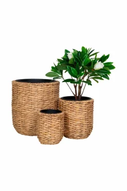 Sale Krukke HANOI sæt med 3 Planter & Blomster