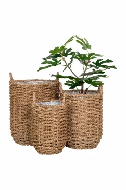 House Nordic Krukke HUE sæt med 3^ Planter & Blomster