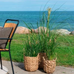 House Nordic Krukke HUE sæt med 3^ Planter & Blomster