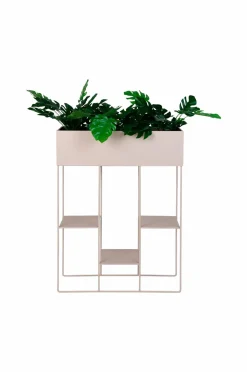 Hot Krukke Rabo Planter & Blomster