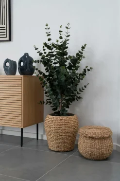 House Nordic Kurv Denia^ Kurve