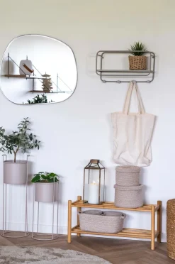 New Oliventræ Planter & Blomster
