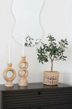 New Oliventræ Planter & Blomster