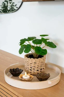 New Pelia Planter & Blomster