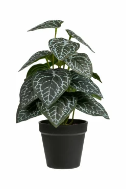 House Nordic Plante, Artificial^ Planter & Blomster
