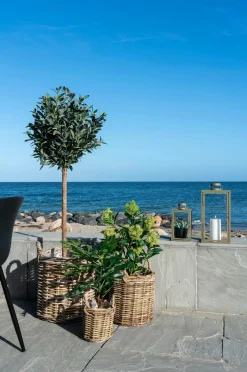 House Nordic Vinterbær^ Planter & Blomster