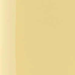 Discount The Wonder Nail Polish Quick Dry & Longwear Negle