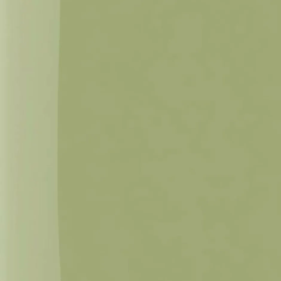 New The Wonder Nail Polish Quick Dry & Longwear Negle