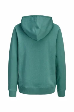 Jack & Jones Hættetrøje jjCollege Logo^Børn Sweatshirts & Hoodies