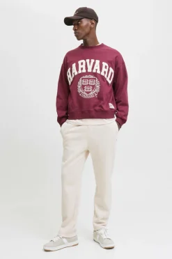 Jack & Jones Sweatpants jpstKane Bradley Uncuffed^ Bukser