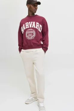 Jack & Jones Sweatpants jpstKane Bradley Uncuffed^ Bukser