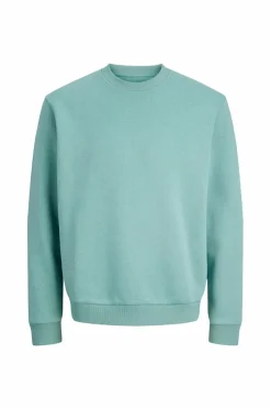 Jack & Jones Sweatshirt jjeBradley Sweat Crew^ Sweatshirts & Hoodies