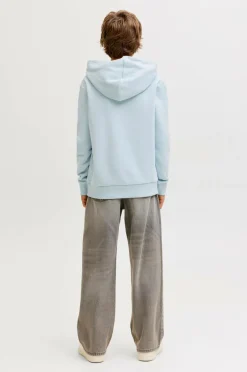 Online Junior Hættetrøje jjeCaleb Varsity Sweat Hood Noos JN Børn Sweatshirts & Hoodies