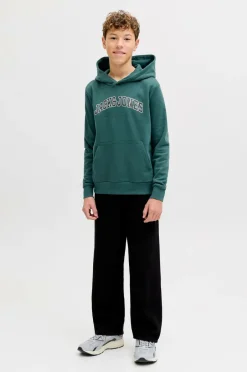 Jack & Jones Junior Hættetrøje jjeCaleb Varsity Sweat Hood Noos JN^Børn Sweatshirts & Hoodies