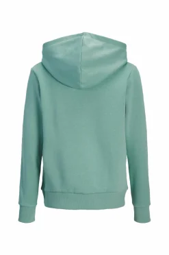 Hot Junior Hættetrøje jjeCaleb Varsity Sweat Hood Noos JN Børn Sweatshirts & Hoodies