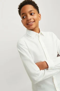 Jack & Jones Junior Skjorte jjeLinen Blend Shirt LS SN Jnr^Børn Skjorter