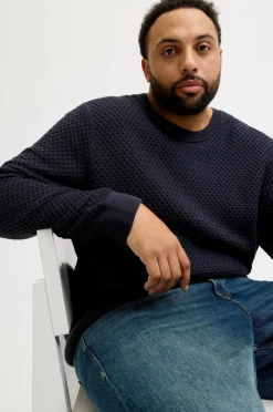 Discount Plus Pullover jprBlubarkley Knit Crew Neck Pls Trøjer