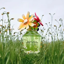 Sale Daisy Wild Intense Edp Parfume