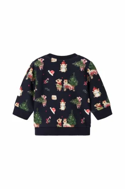 Discount baby Sweatshirt Nbnrenu LS Sweat Bru Børn Trøjer