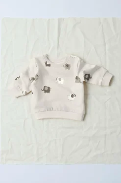 Name it baby Sweatshirt nbnoHapi LS Sweat Bru^Børn Trøjer