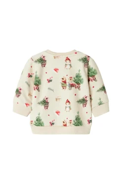 Name it baby Sweatshirt Nbnrenu LS Sweat Bru^Børn Trøjer