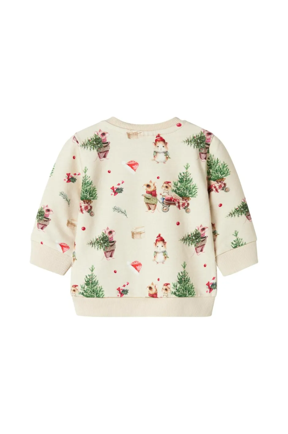 Name it baby Sweatshirt Nbnrenu LS Sweat Bru^Børn Trøjer