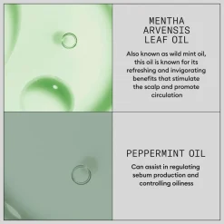 Nioxin Hair Booster Serum 100 Ml^ Hårpleje
