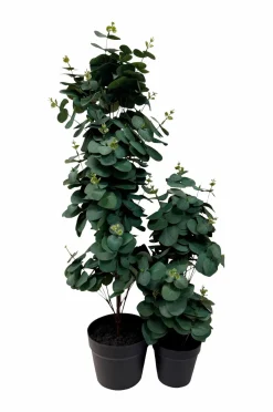 Discount Kunstplante Viridis Eucalyptus 78 Planter & Blomster